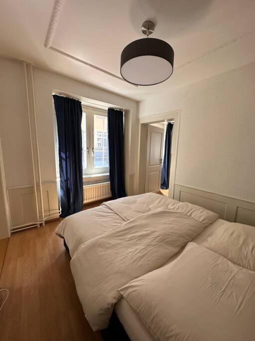 Cozy Apartment In Oldtown Zurich5 Eksteriør bilde